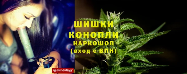 эйфоретик Каменногорск
