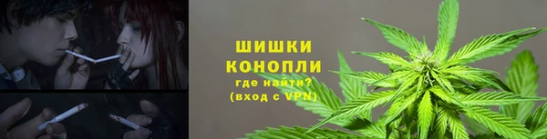 эйфоретик Каменногорск