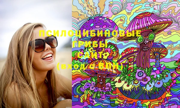 эйфоретик Каменногорск