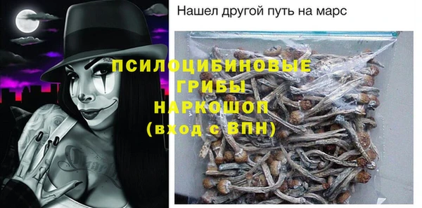 дмт Инсар