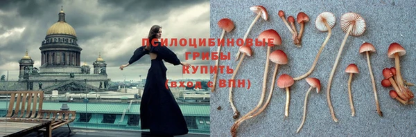 эйфоретик Каменногорск