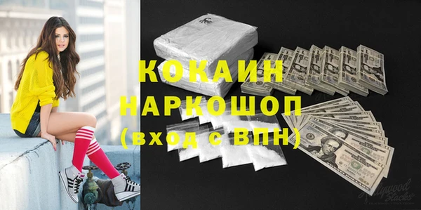дмт Инсар