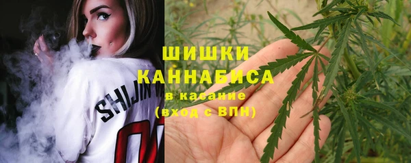 эйфоретик Каменногорск