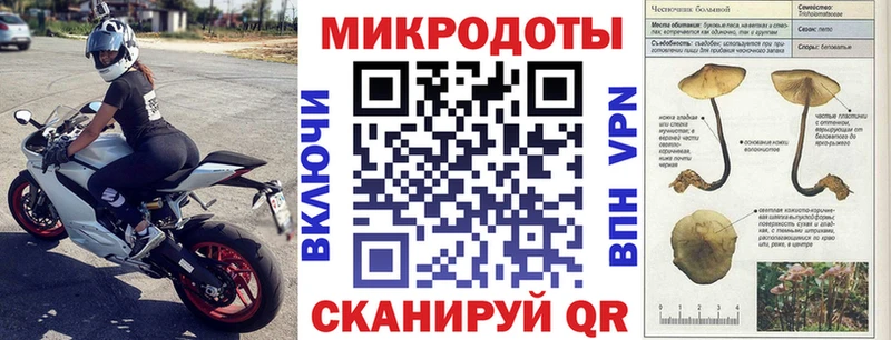 Купить где  Балаково  Псилоцибиновые грибы Psilocybine cubensis 