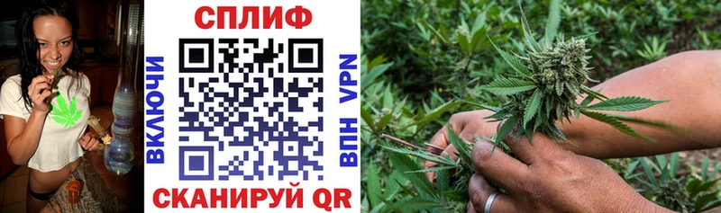 Купить закладки  Балаково  Канабис планчик 